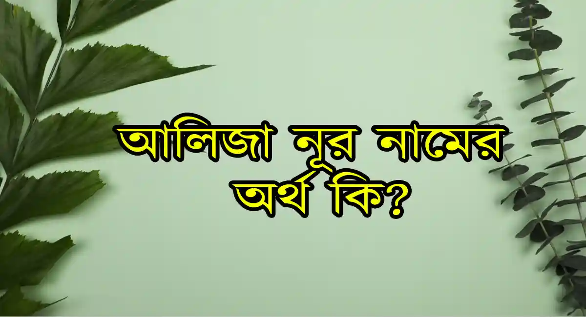 আলিজা নূর নামের অর্থ কি