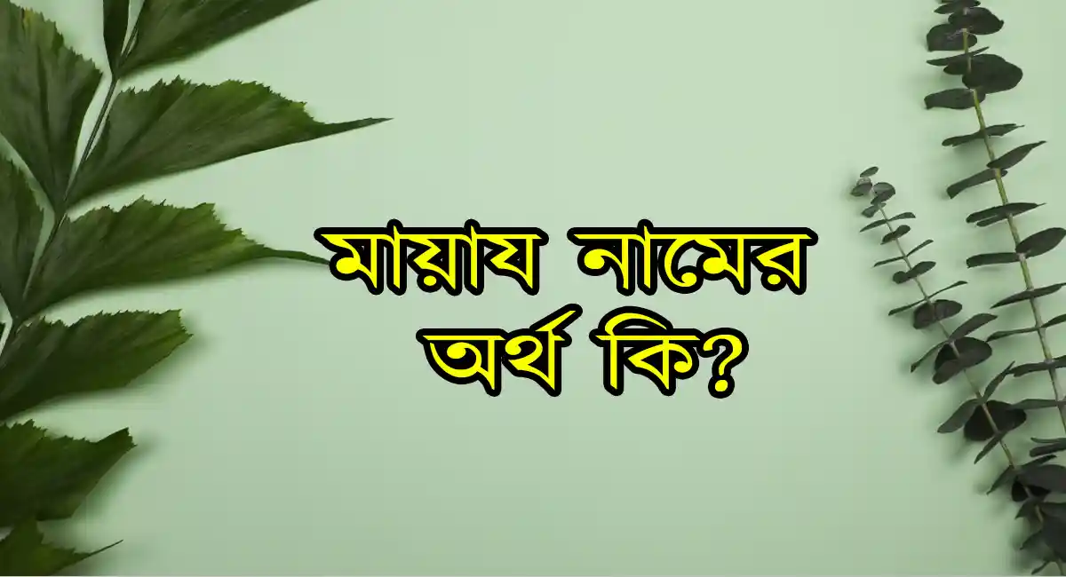 মায়ায নামের অর্থ কি